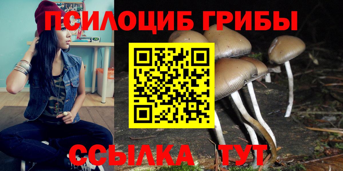 Галлюциногенные грибы Magic Shrooms Томск