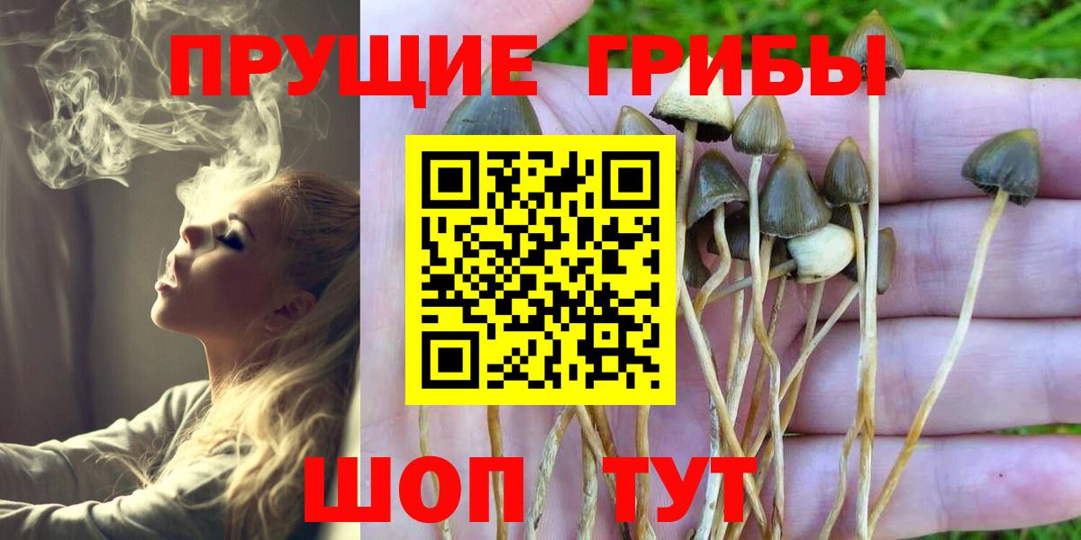 Галлюциногенные грибы Magic Shrooms  Вход с VPN  Псилоцибиновые грибы MAGIC MUSHROOMS  Томск 